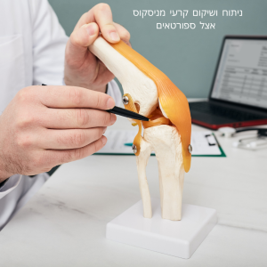 ניתוח מניסקוס